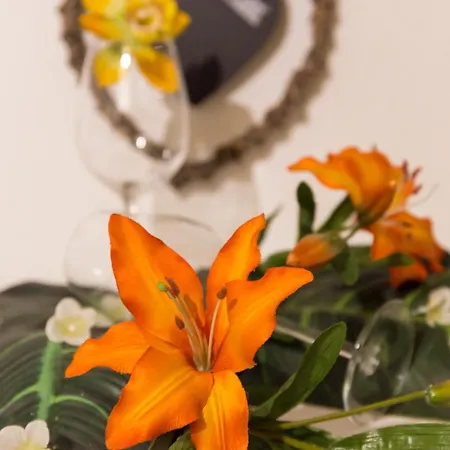 Rima Am Braendle Haller